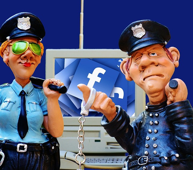 social media management agency Albany