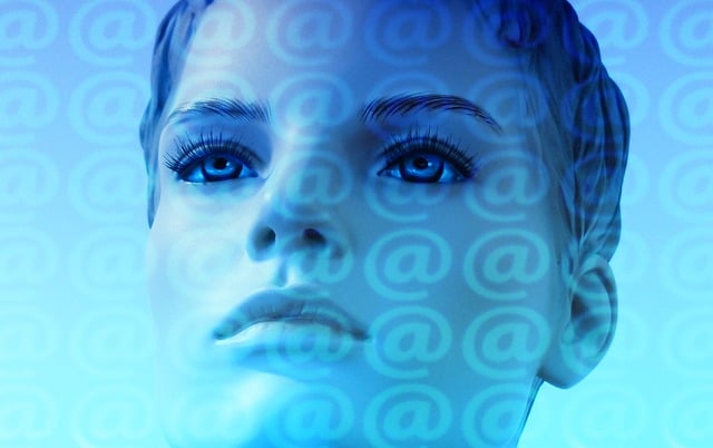 social media management agency Albany