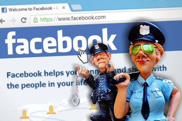 social media management agency Albany