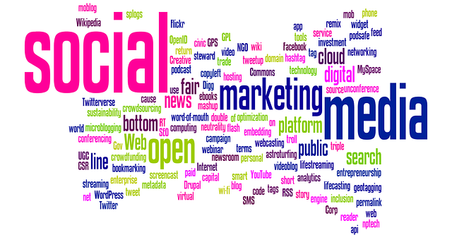 social-media-management-agency-albany-640x480-95496243.png