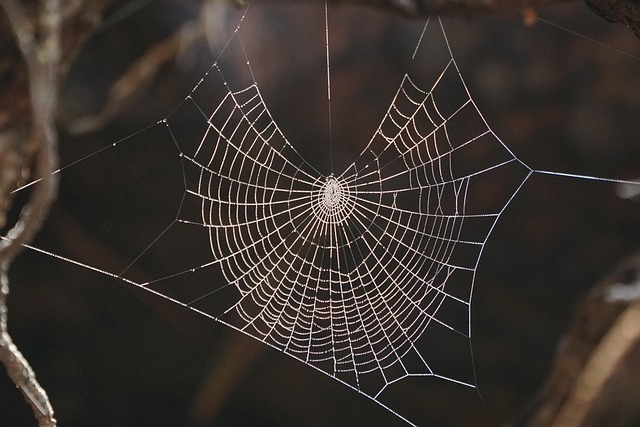 web design Albany