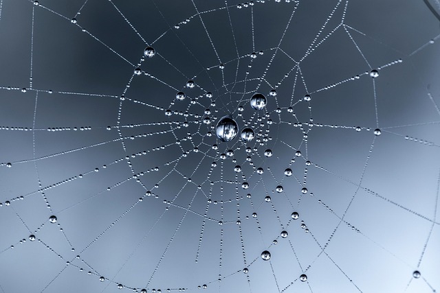web design Albany
