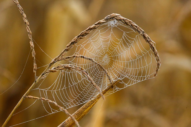 web design Albany