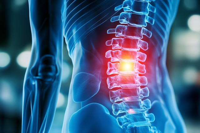 Albany back injury workers comp lawyer