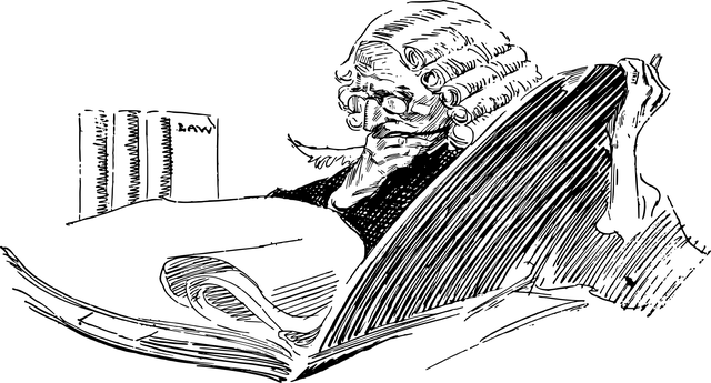 Albany Criminal Justice Legal Aid