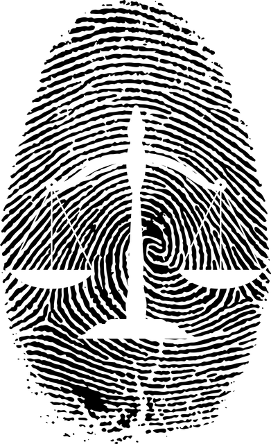 Albany NY Criminal Law Firm