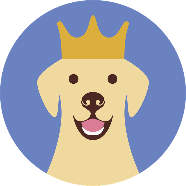 Albany pet friendly housing