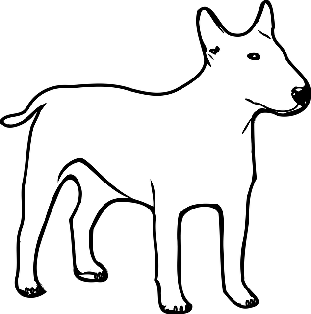 Albany pet friendly housing