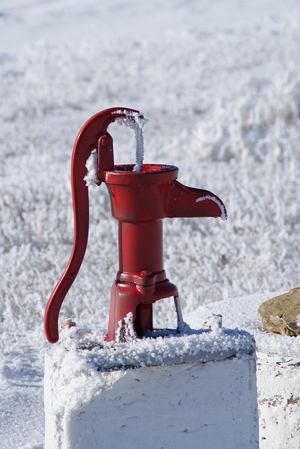 best heat pump water heater companies Albany