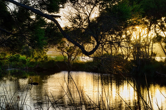 best hvac company Albany