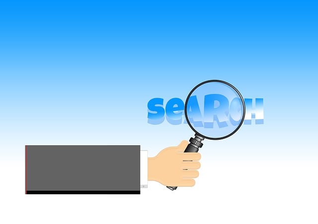 best SEO company Albany
