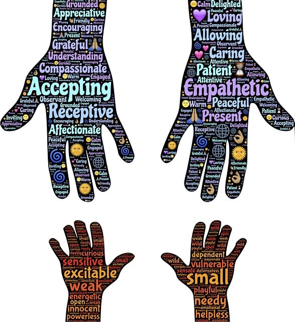 child-support-lawyer-albany-640x480-55187453.jpeg