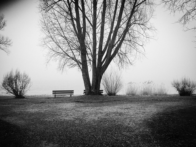 Clifton Park NY Banks