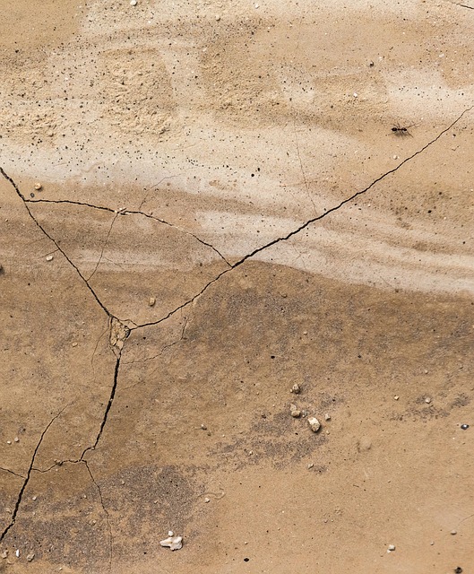 crack-sealing-albany-640x480-11407917.jpeg