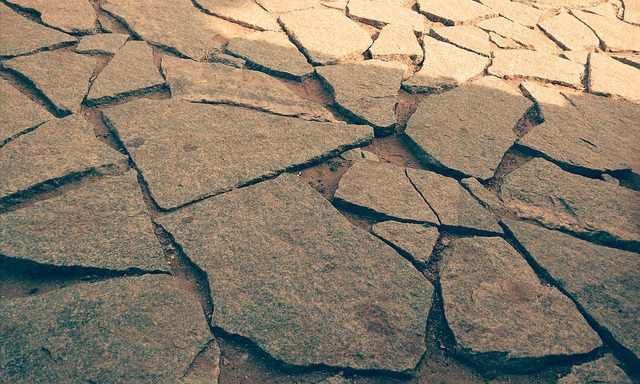 crack-sealing-albany-640x480-75497048.jpeg