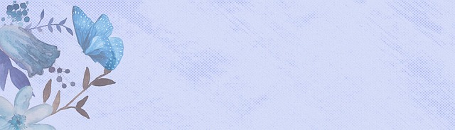 custom website design Albany