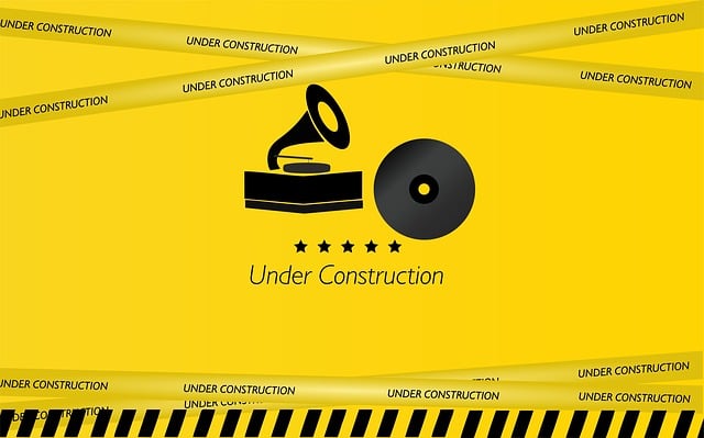 custom website design Albany
