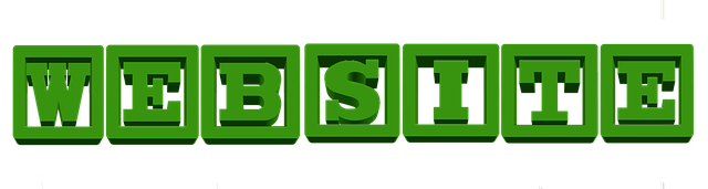 custom-website-design-albany-640x480-94324723.png