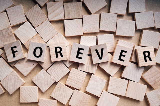 Divorce attorney near me Albany