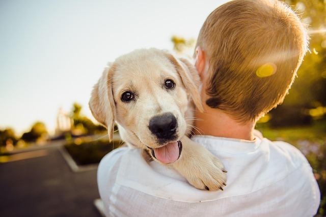 Dog parks near pet friendly apartments Albany