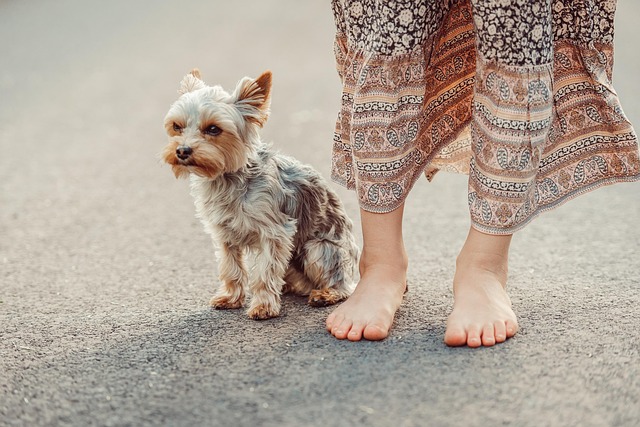 Dog parks near pet friendly apartments Albany