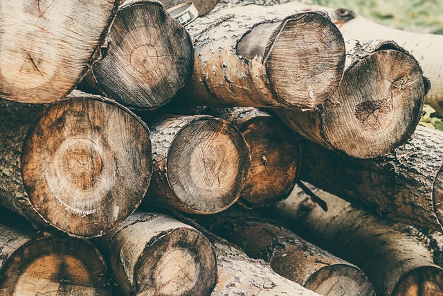 Durability of Glue Laminated Beams