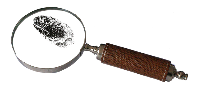 Experienced Criminal Lawyer Albany