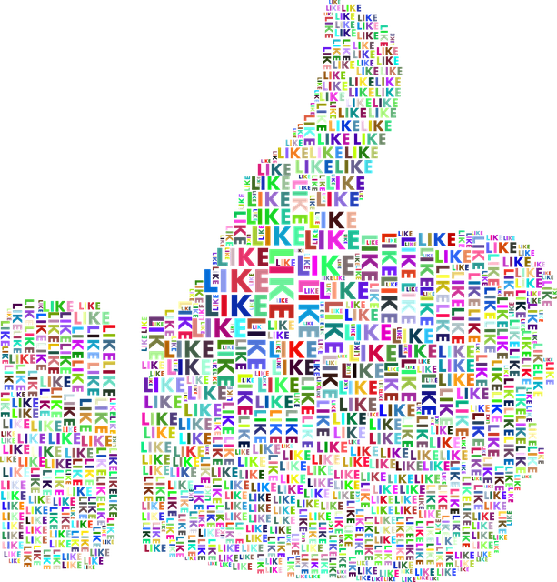 Facebook Ads agency Albany