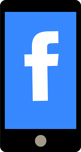 Facebook Ads agency Albany