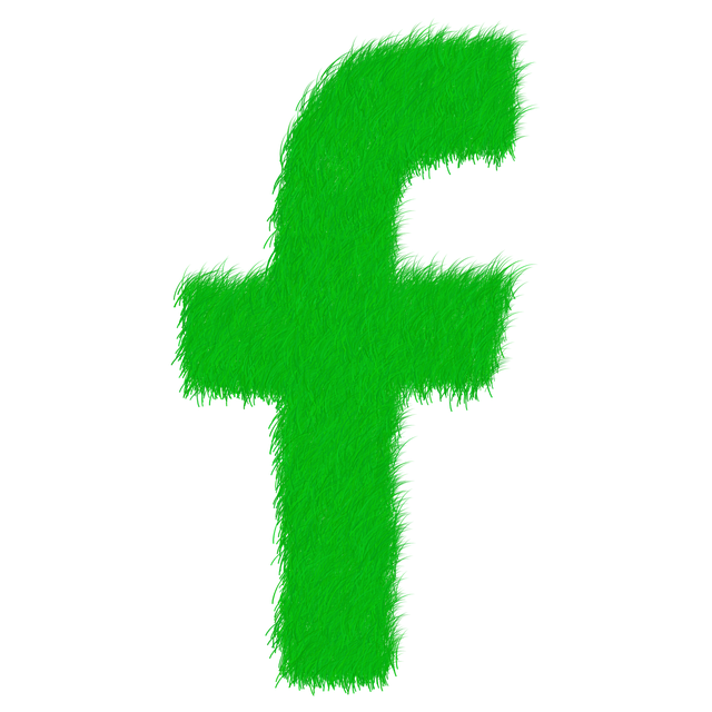 Facebook Ads agency Albany