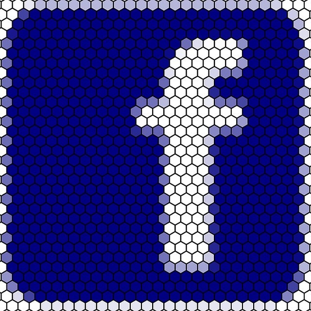 Facebook Ads agency Albany