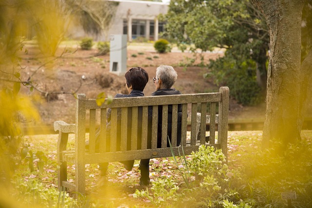 Family Law Consultation Albany