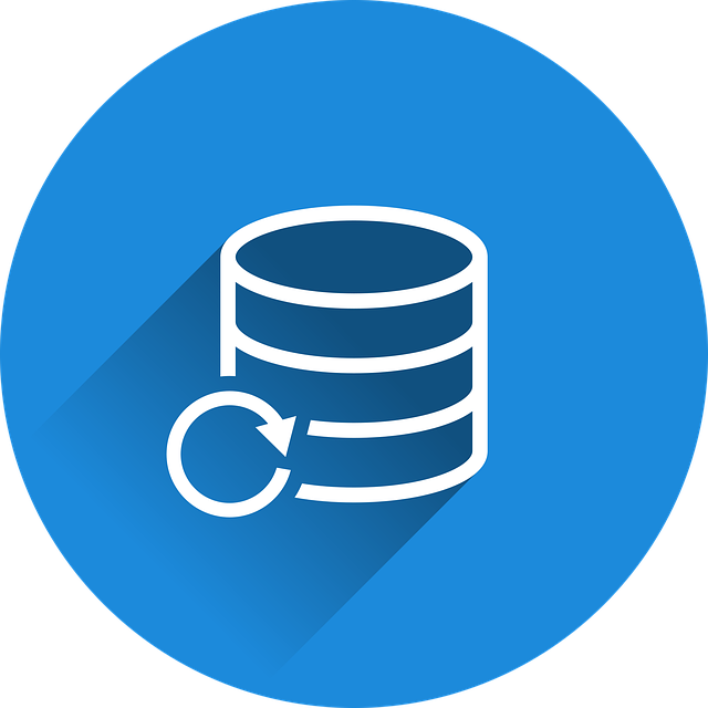 Google Ads management agency Albany