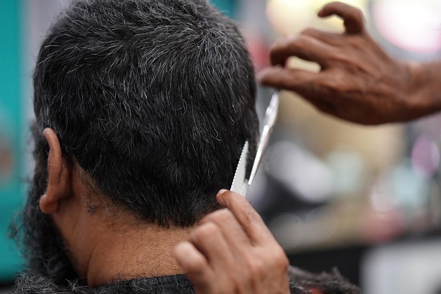 hair salon albany