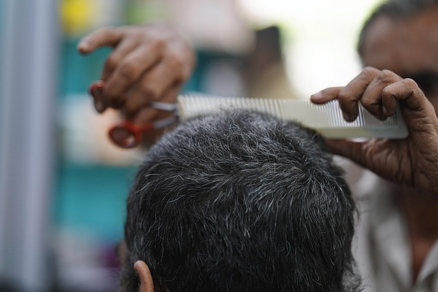 hair salon albany
