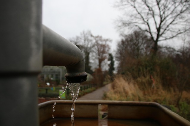 Expert Heat Pump Water Heater Maintenance in Albany