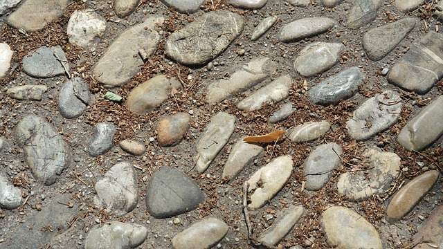 HOA paving Albany