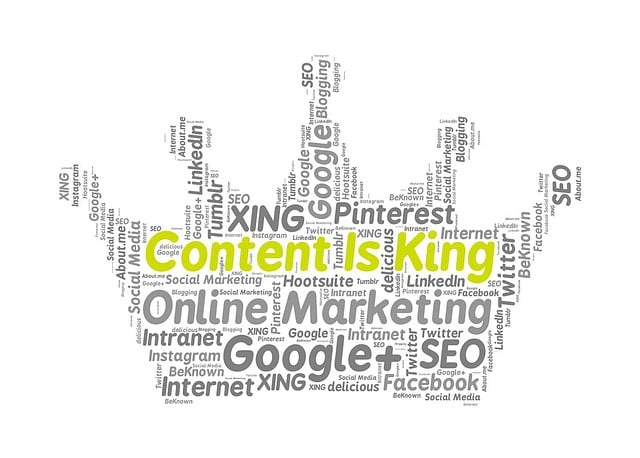 marketing agency Albany
