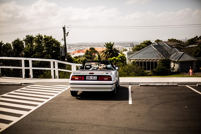parking-lot-paving-albany-640x480-97436873.jpeg