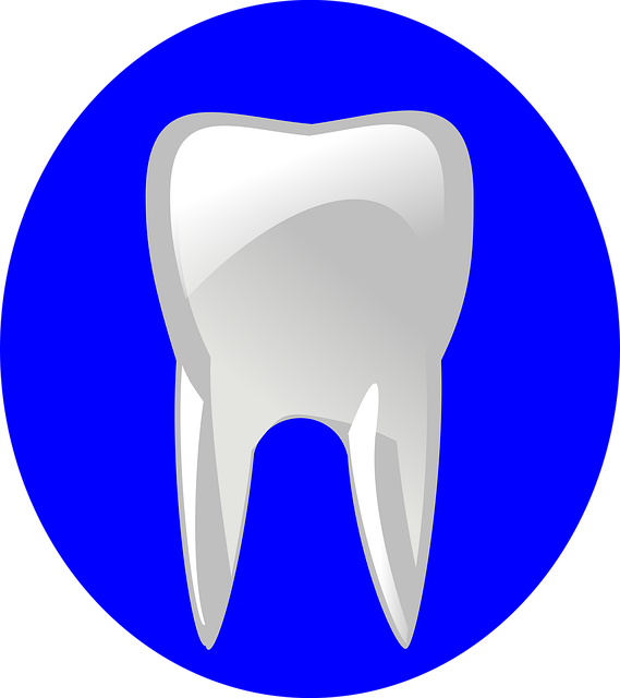pediatric dentist