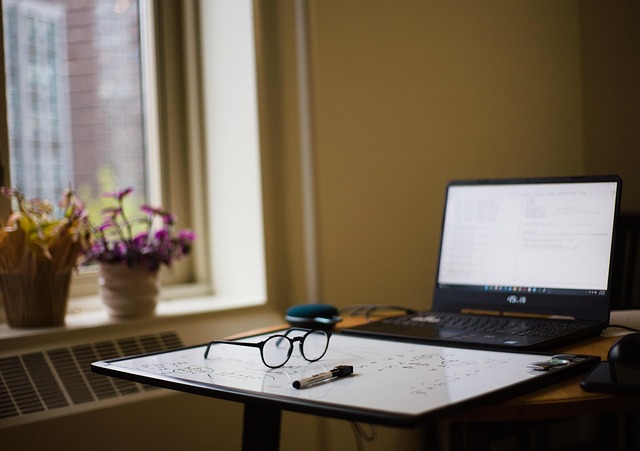 Pet-friendly studio apartments in Albany