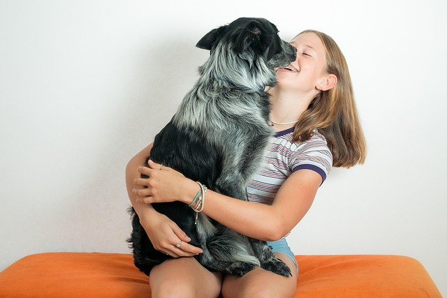 Pet-friendly studio apartments in Albany