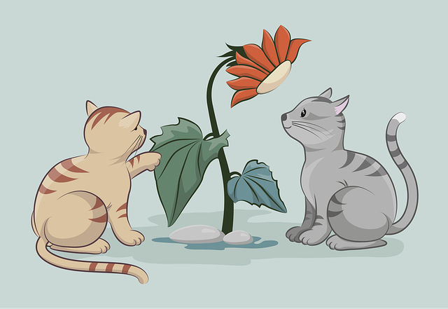 Pet sitting services near me in Albany, NY
