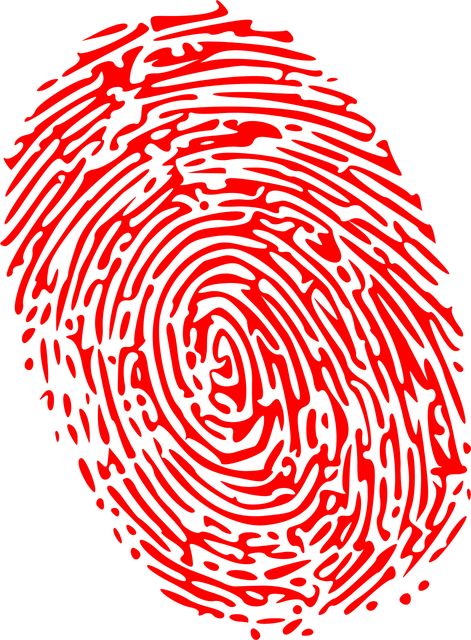 pre-nuptial-agreement-lawyer-albany-640x480-67563141.png