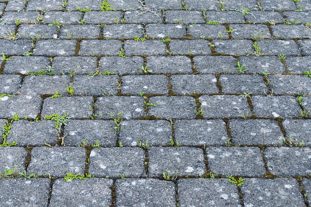 road paving