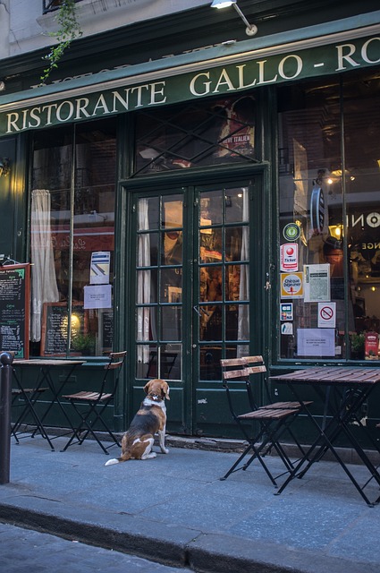 Saratoga Springs Restaurant Recommendations