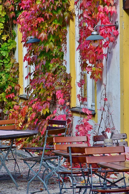 Saratoga Springs Restaurants with Outdoor Seating