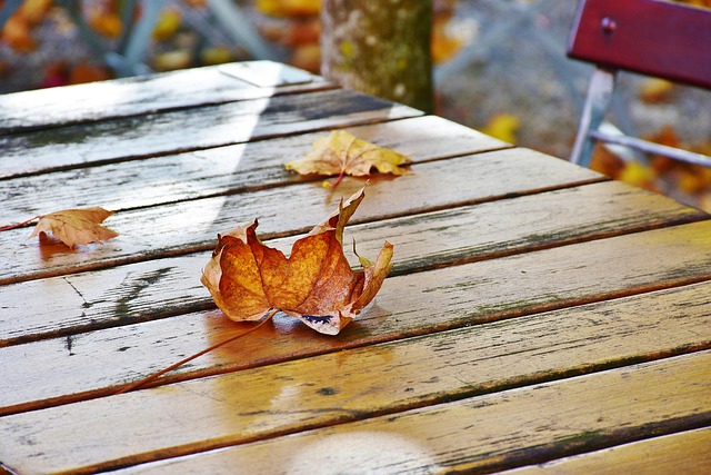 Saratoga Springs Restaurants with Outdoor Seating