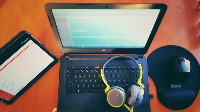 SEO agency Albany
