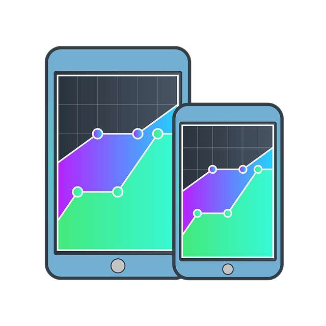 seo-company-albany-640x480-5053568.png